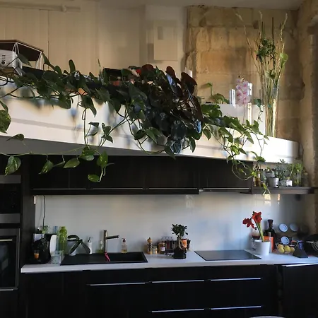 Canape-lit Men Only Ambiance Vintage Boheme Plantes Proche Centre ボルドー