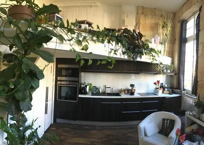 Canape-lit Men Only Ambiance Vintage Boheme Plantes Proche Centre ホームステイ *