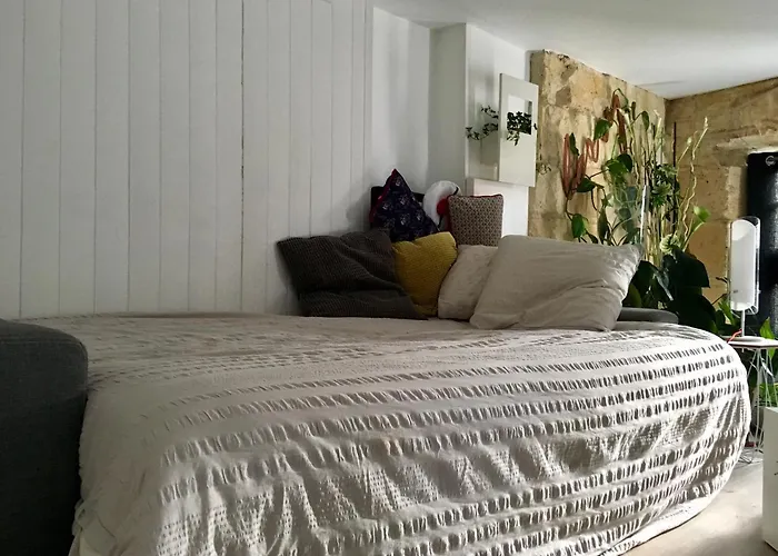 Canape-lit Men Only Ambiance Vintage Boheme Plantes Proche Centre ホームステイ