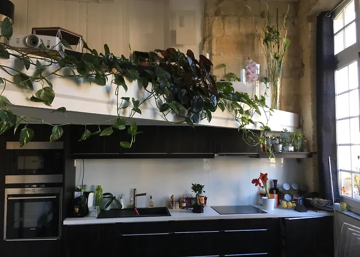 Canape-lit Men Only Ambiance Vintage Boheme Plantes Proche Centre ボルドー